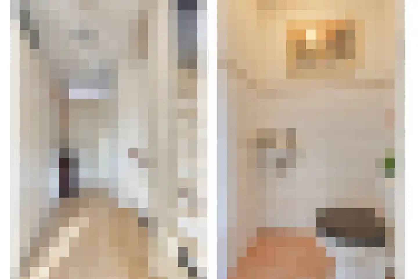 Oesterbank 15 Rhoon thumbnail 18