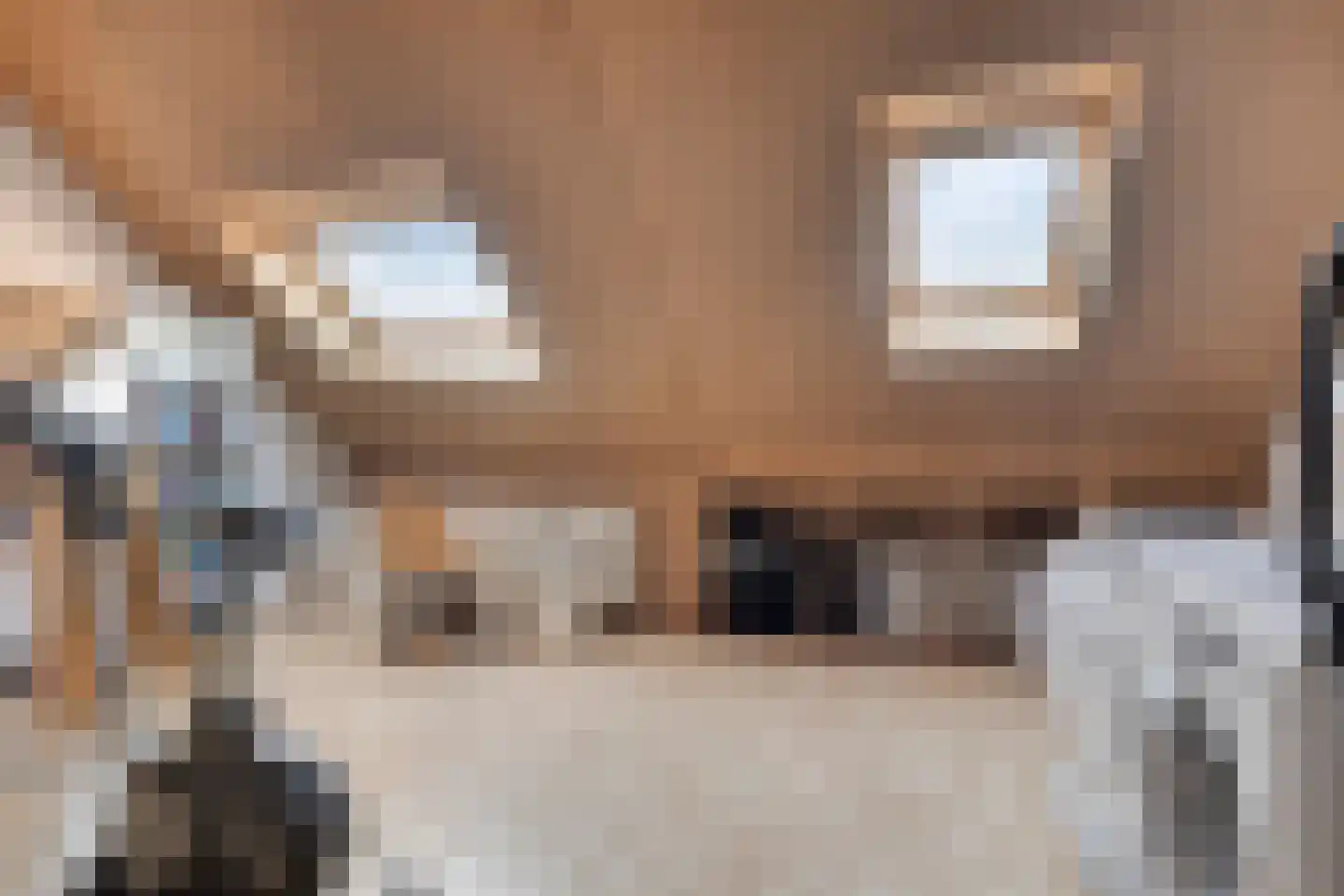 Oesterbank 15 Rhoon thumbnail 26