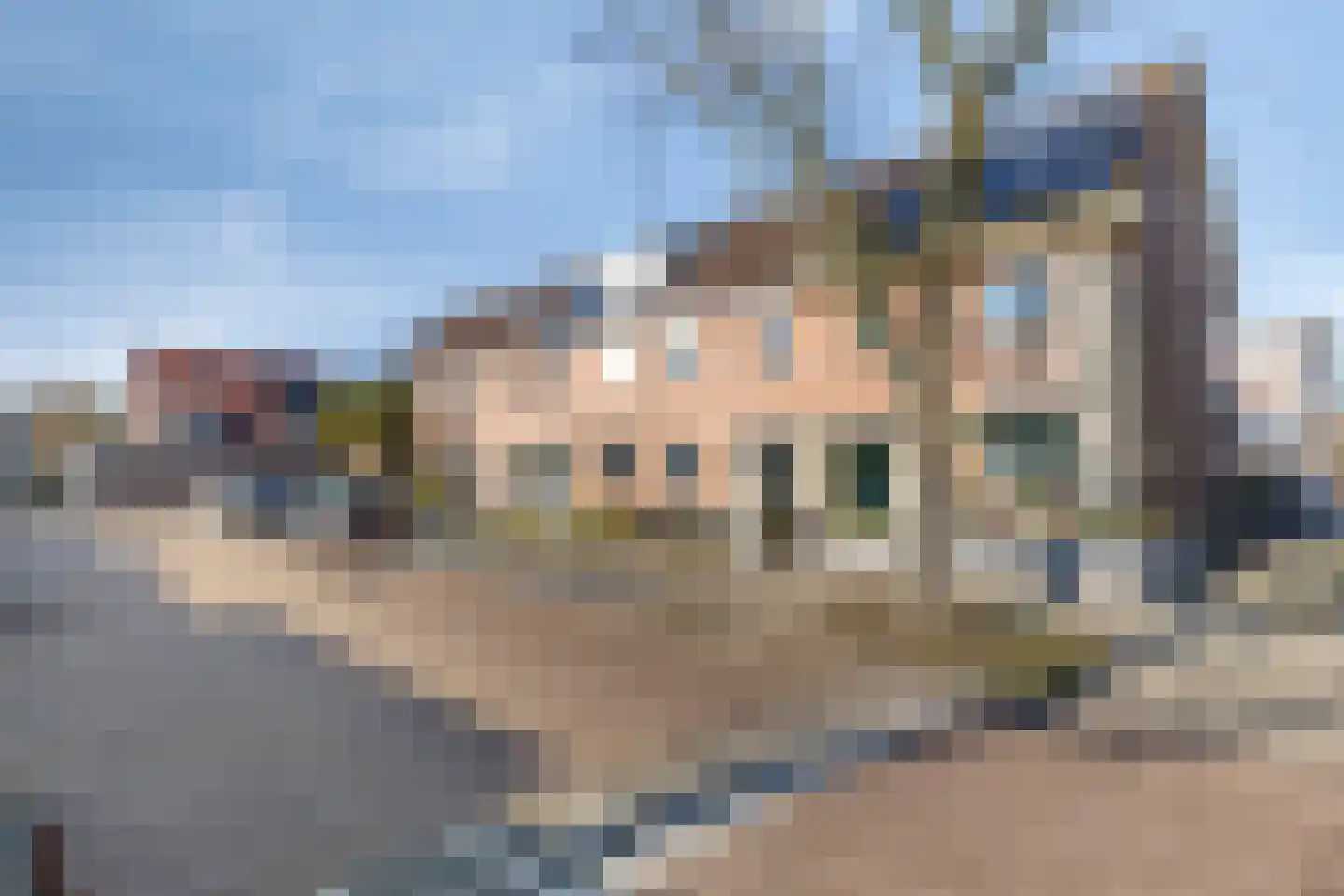Oesterbank 15 Rhoon thumbnail 28