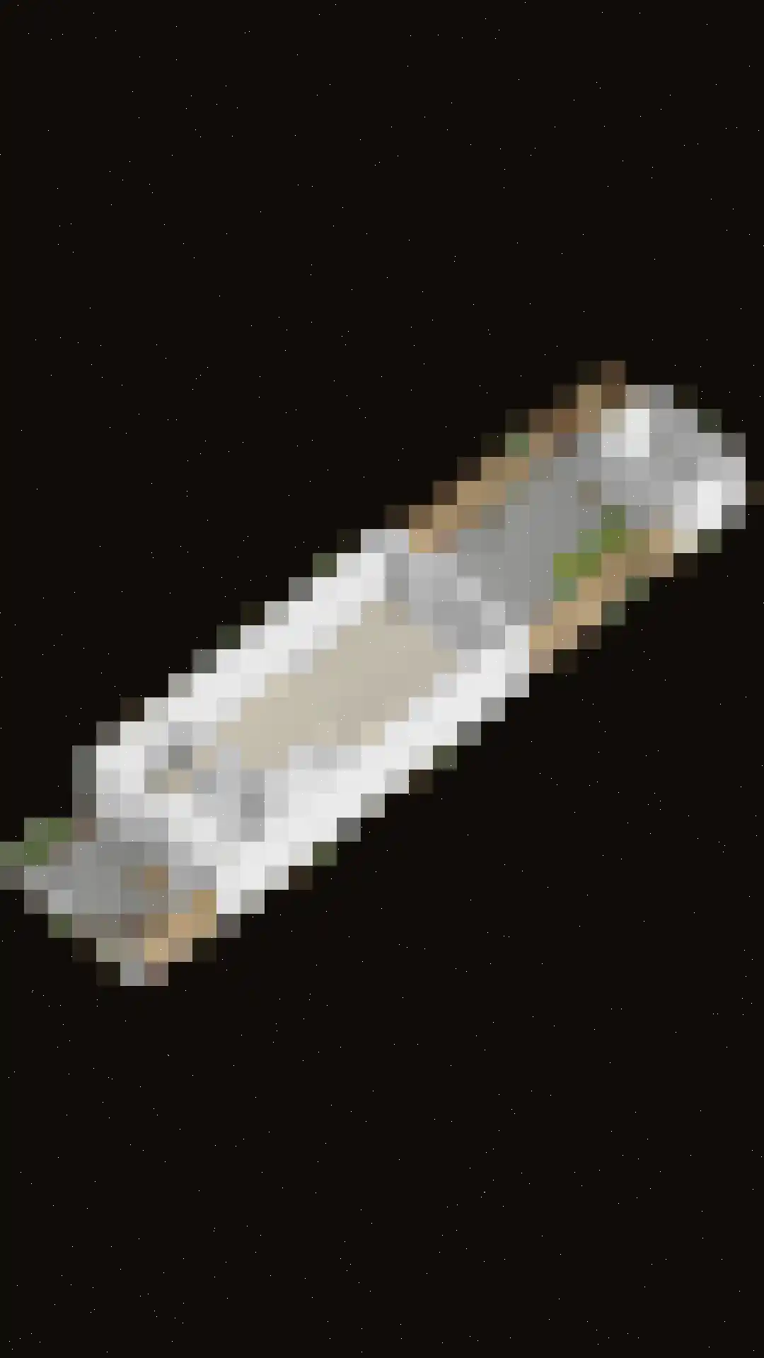 Oesterbank 15 Rhoon thumbnail 34