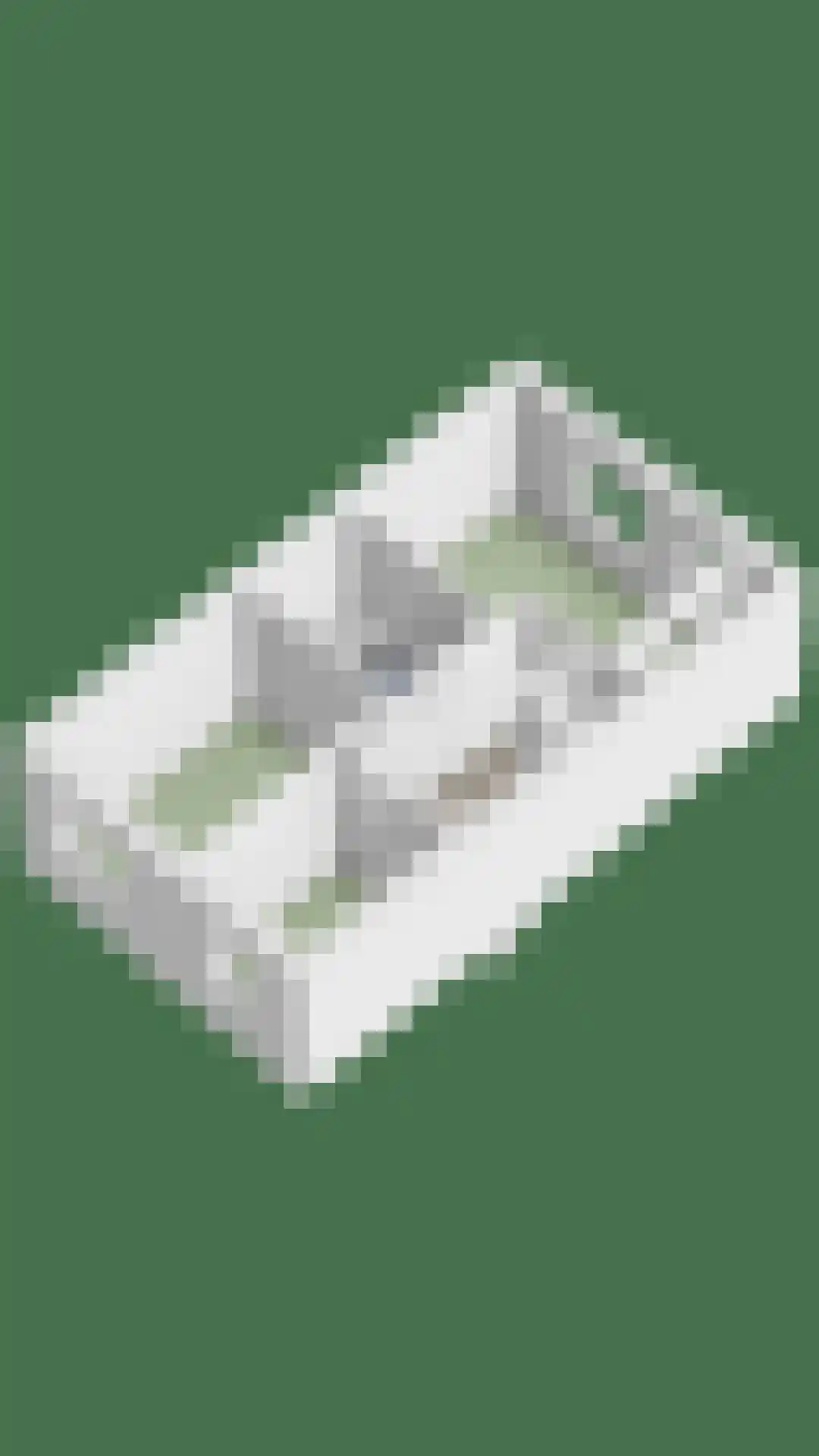 Oesterbank 15 Rhoon thumbnail 38