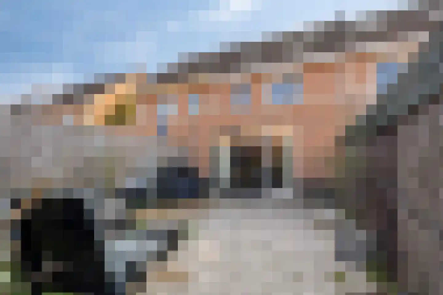Oesterbank 15 Rhoon thumbnail 6