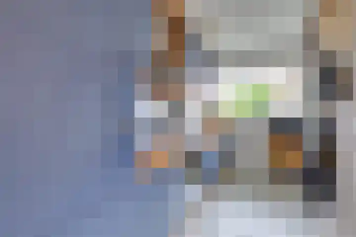 Oesterbank 32 Leiden thumbnail 15