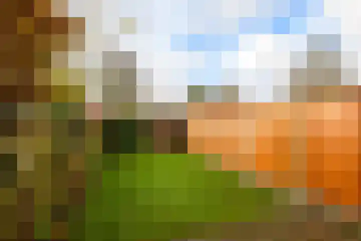 Oesterbank 32 Leiden thumbnail 18