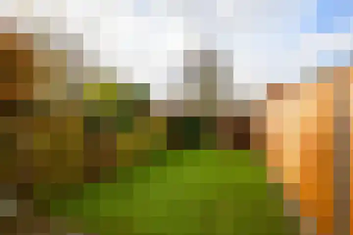 Oesterbank 32 Leiden thumbnail 19