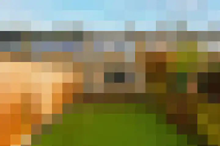 Oesterbank 32 Leiden thumbnail 20