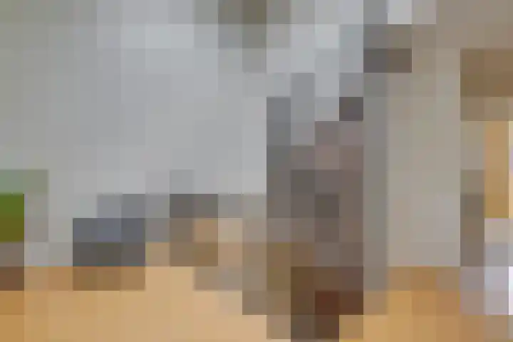 Oesterbank 32 Leiden thumbnail 22