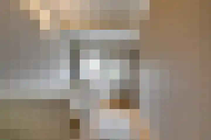 Oesterbank 32 Leiden thumbnail 27