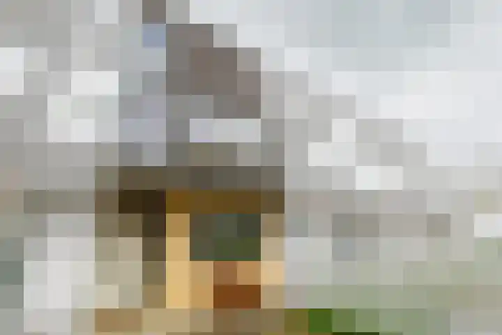 Oesterbank 32 Leiden thumbnail 41