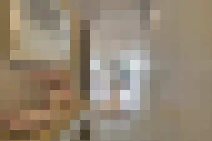 Oesterbank 32 Leiden thumbnail 7