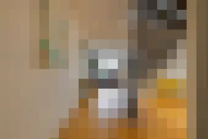 Oesterbank 32 Leiden thumbnail 8