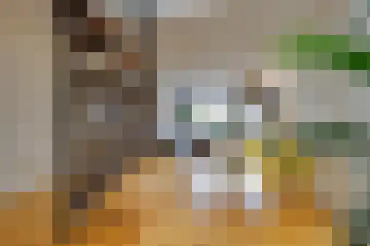 Oesterbank 32 Leiden thumbnail 9