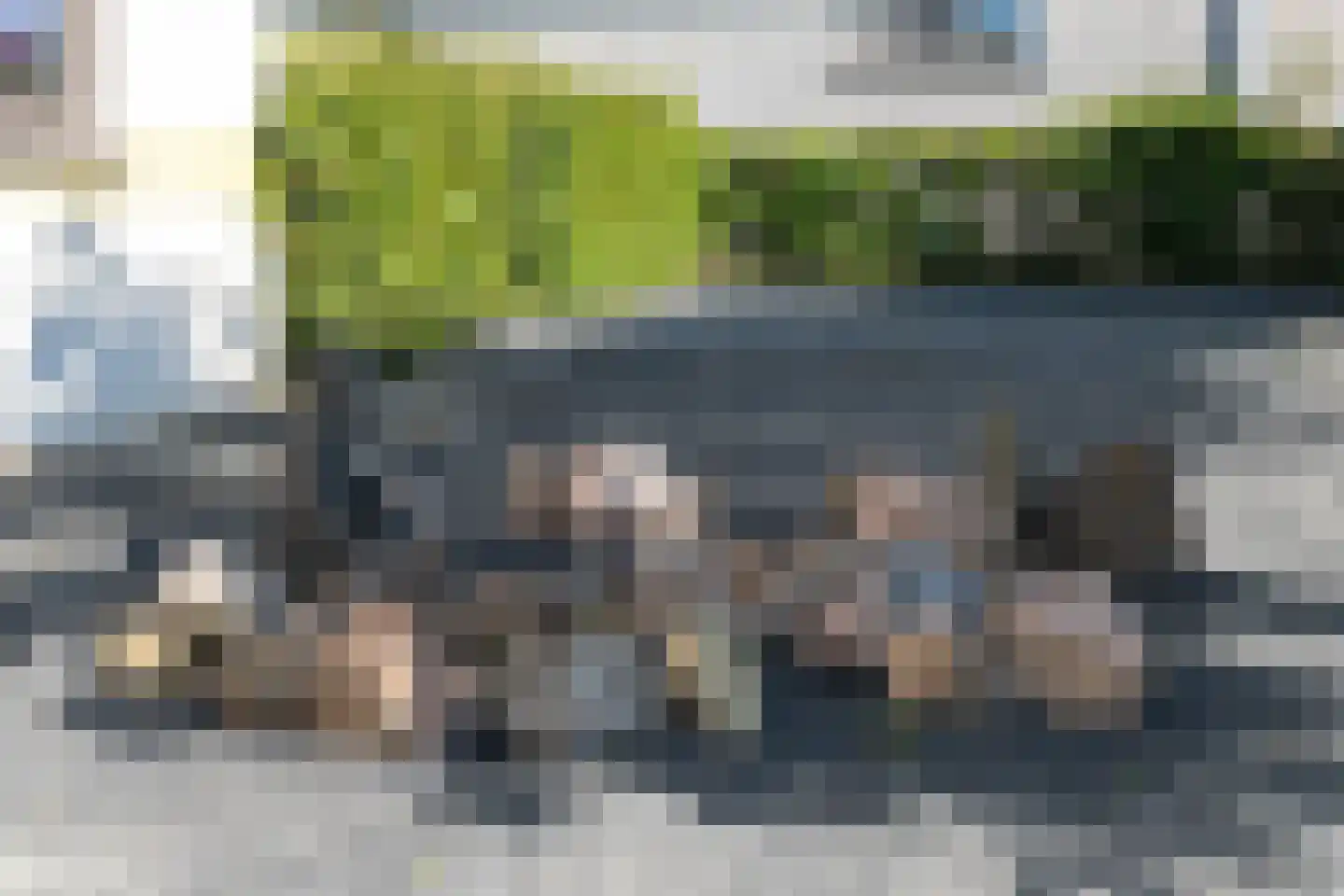 Oesterbank 9 Goes thumbnail 11