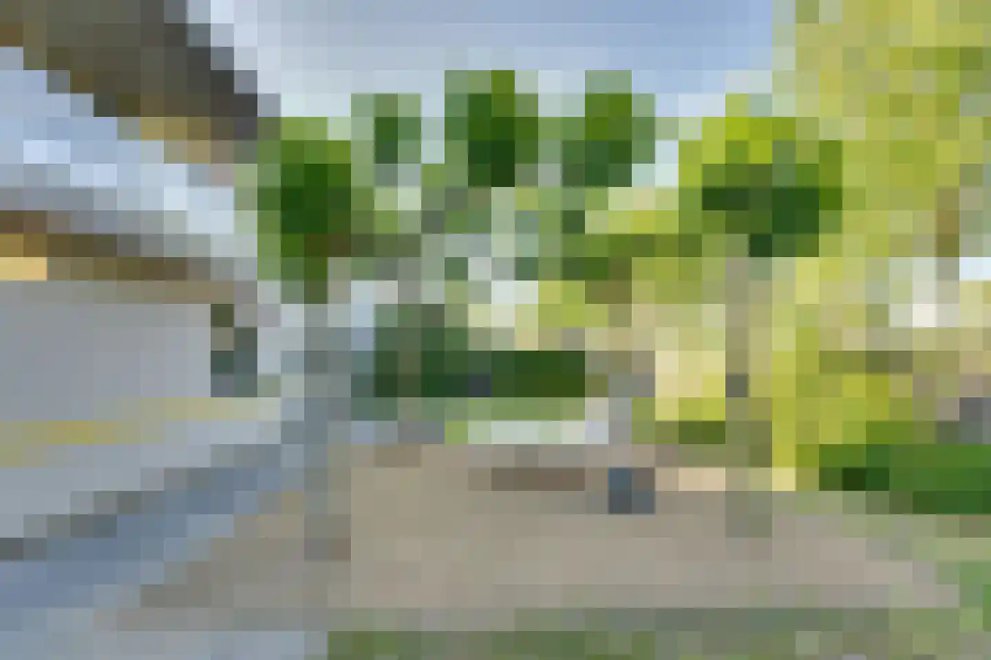 Oesterbank 9 Goes thumbnail 12