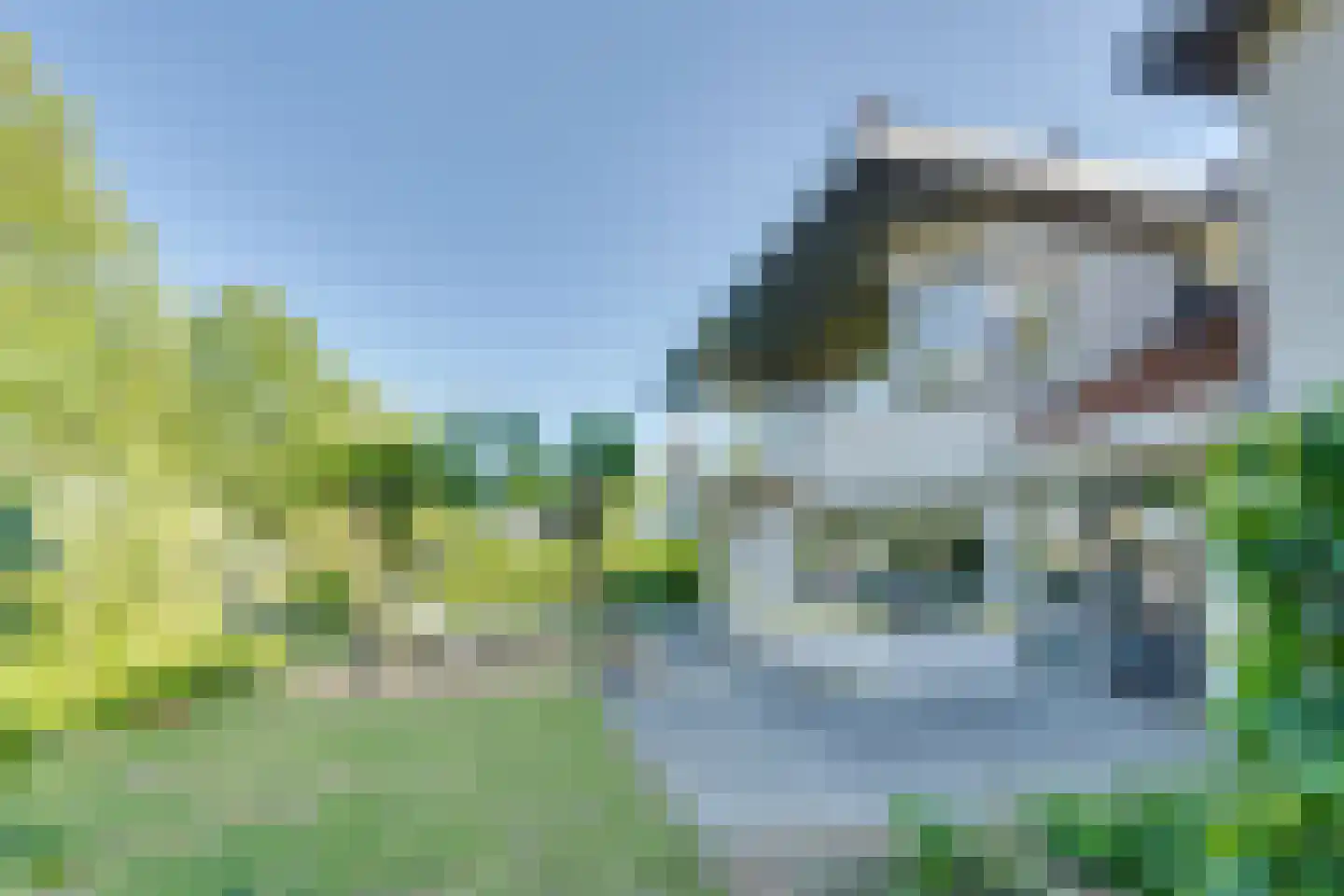 Oesterbank 9 Goes thumbnail 13