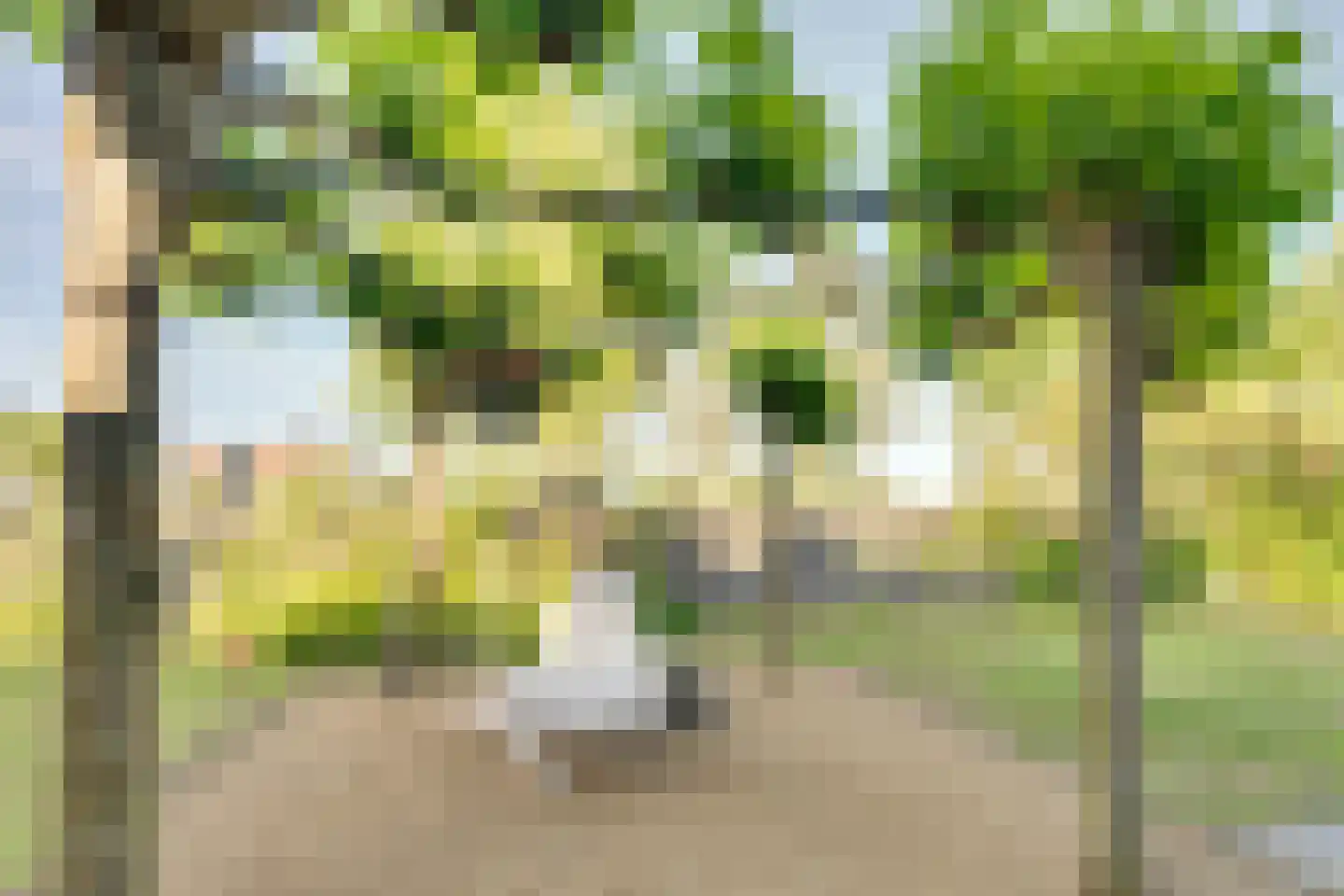 Oesterbank 9 Goes thumbnail 14