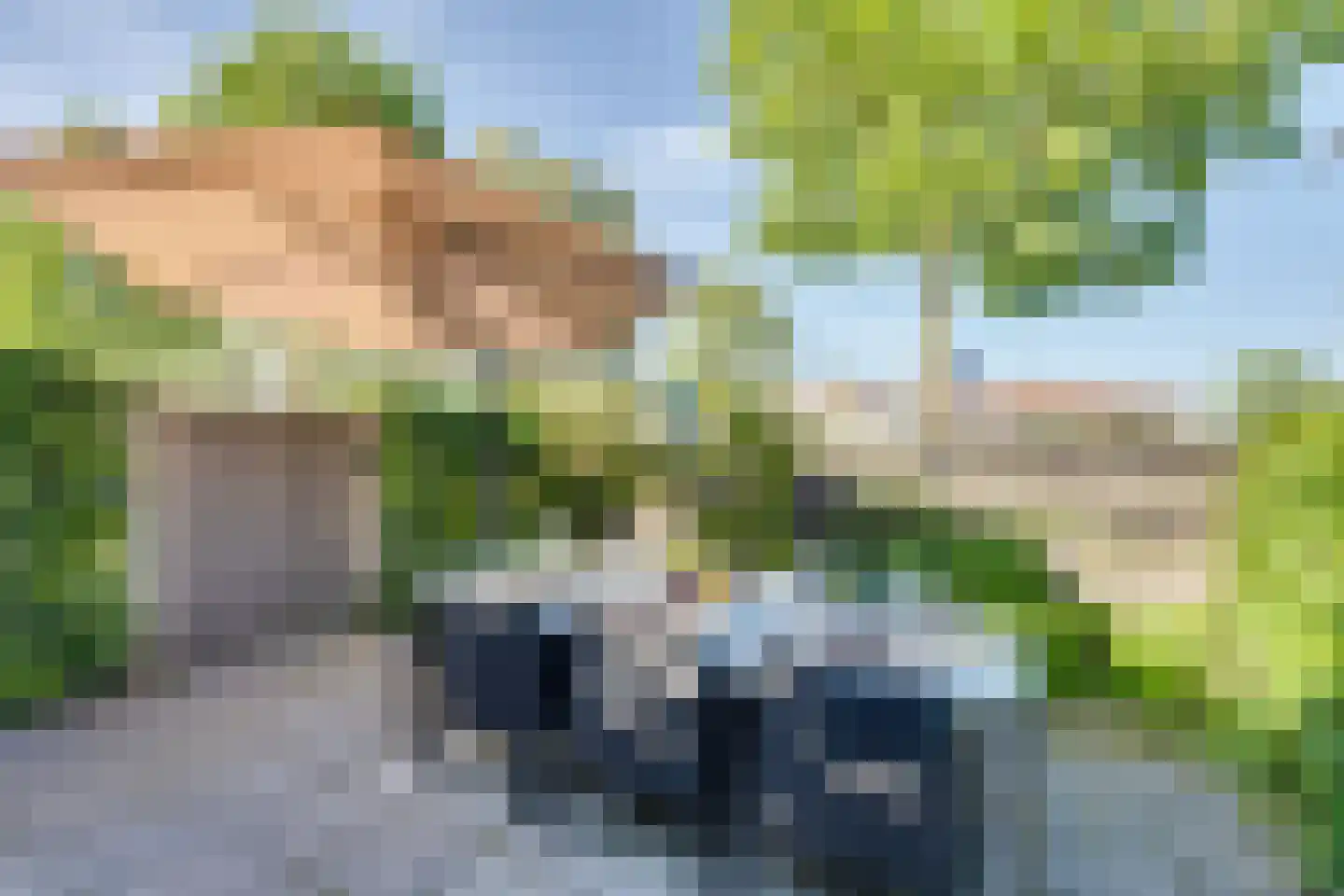 Oesterbank 9 Goes thumbnail 15