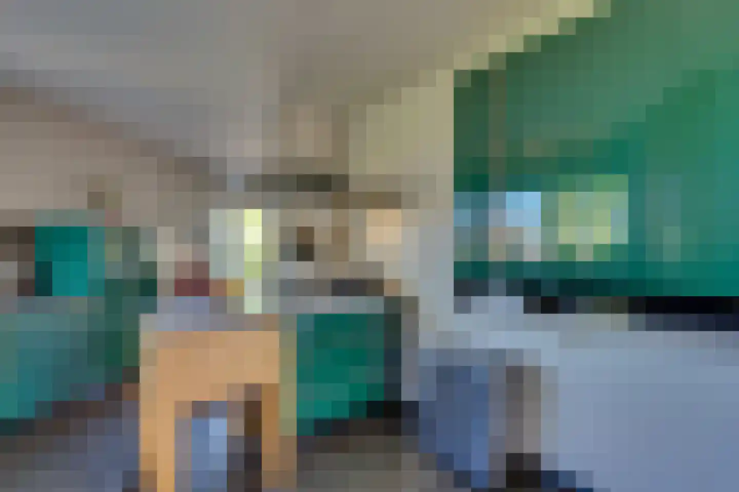 Oesterbank 9 Goes thumbnail 23