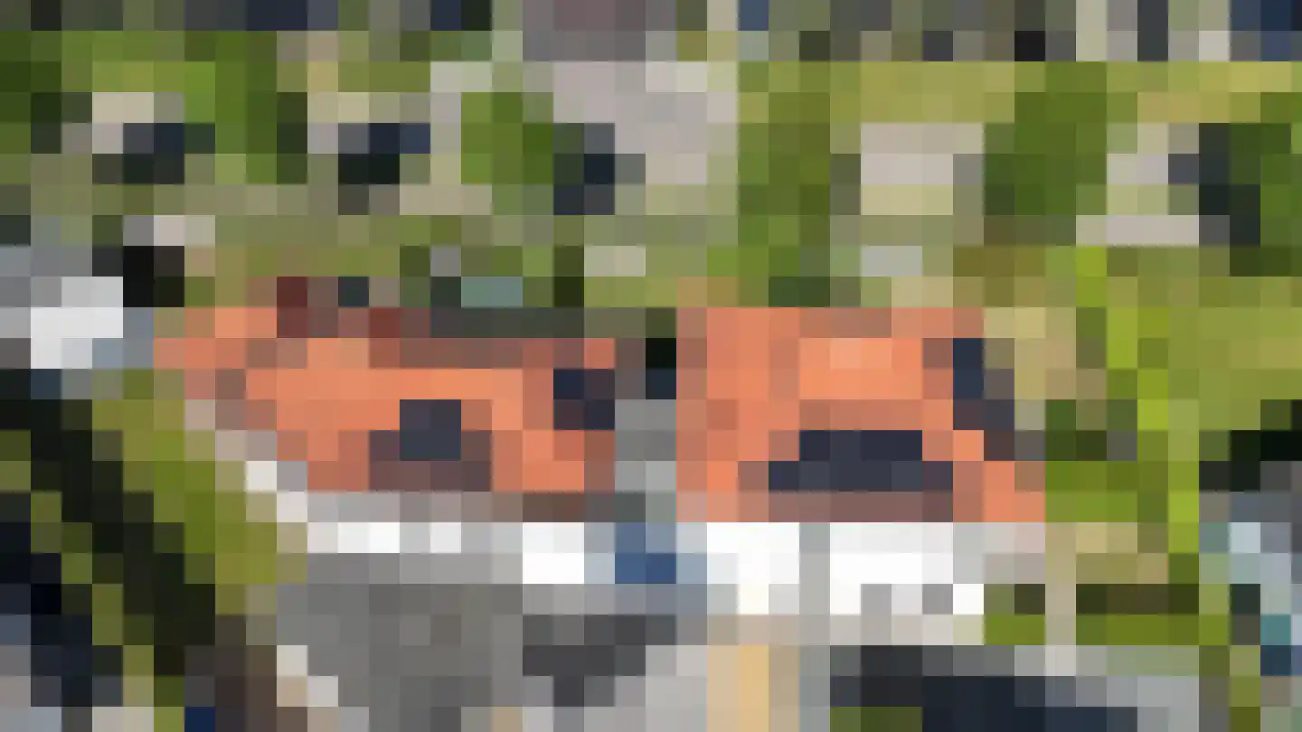 Oesterbank 9 Goes thumbnail 5