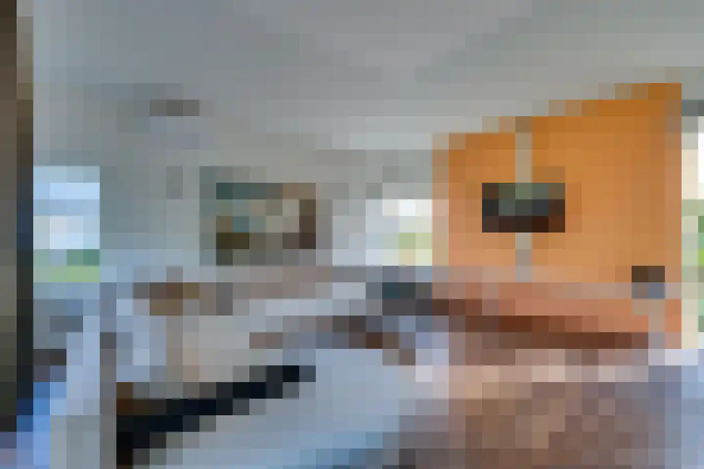 Oesterbank 9 Goes thumbnail 60