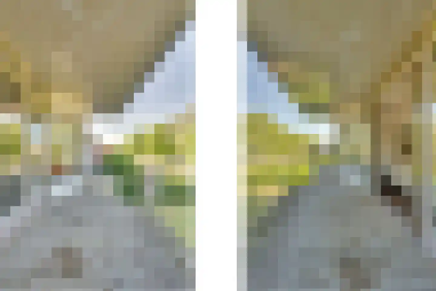 Oesterbank 9 Goes thumbnail 66