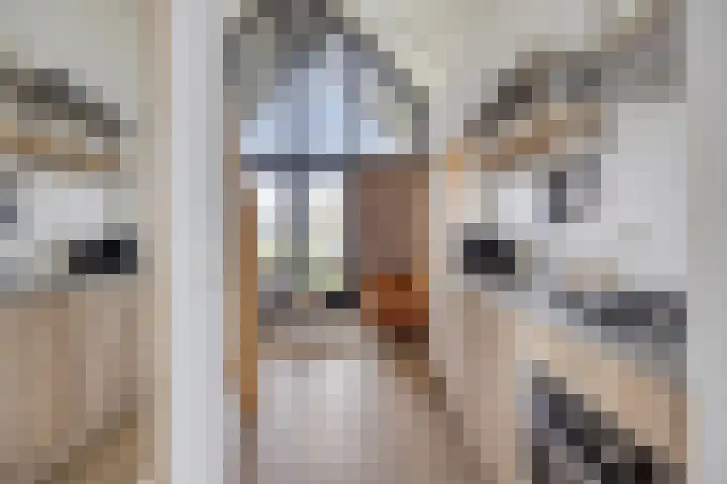 Oesterdam 205 Tholen thumbnail 5