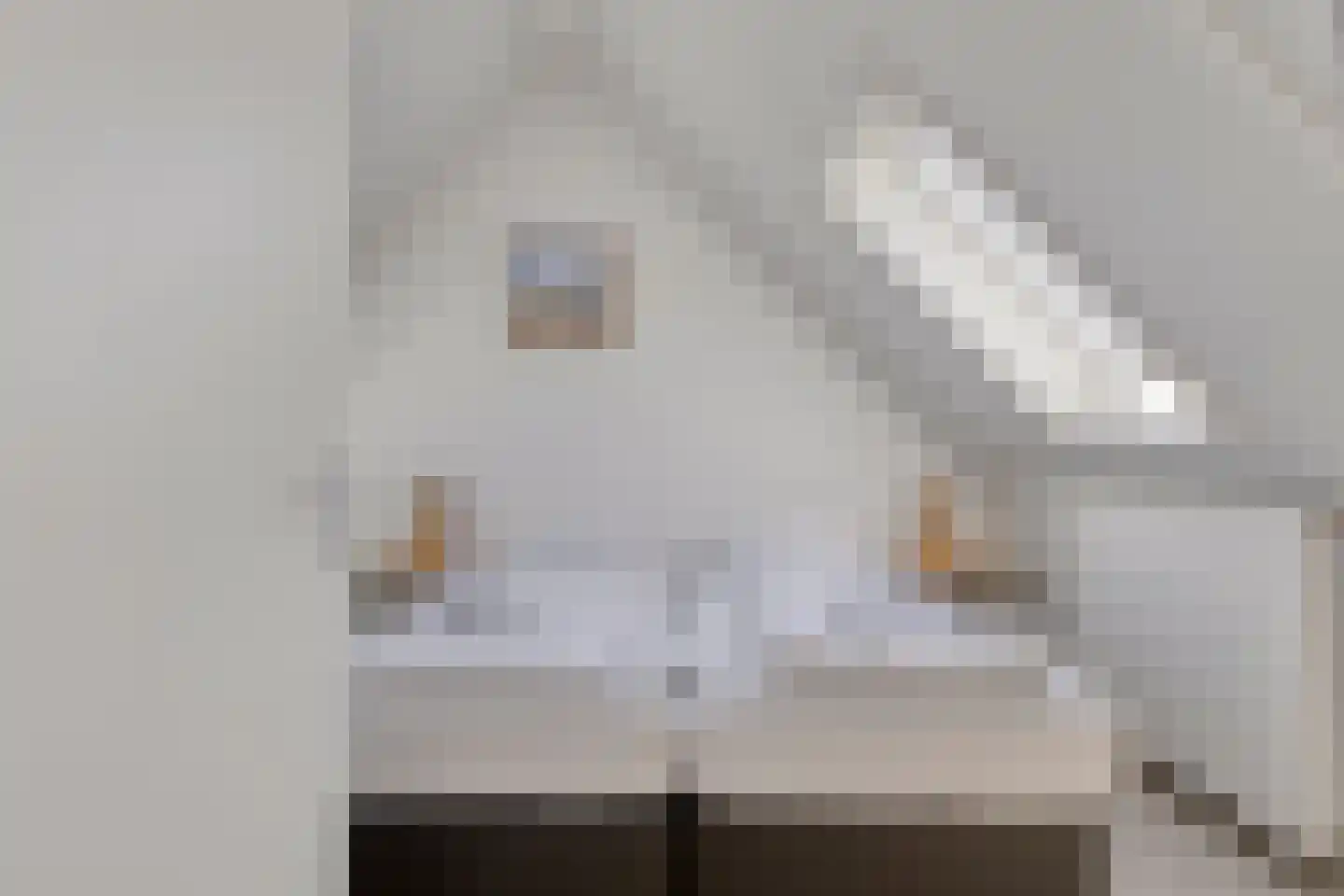Oesterdam 215 Tholen thumbnail 23