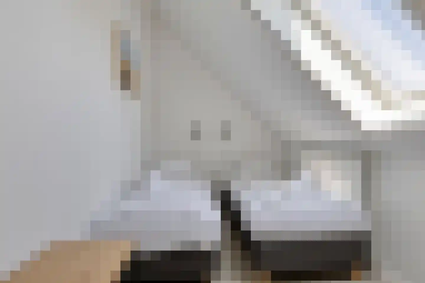 Oesterdam 215 Tholen thumbnail 29