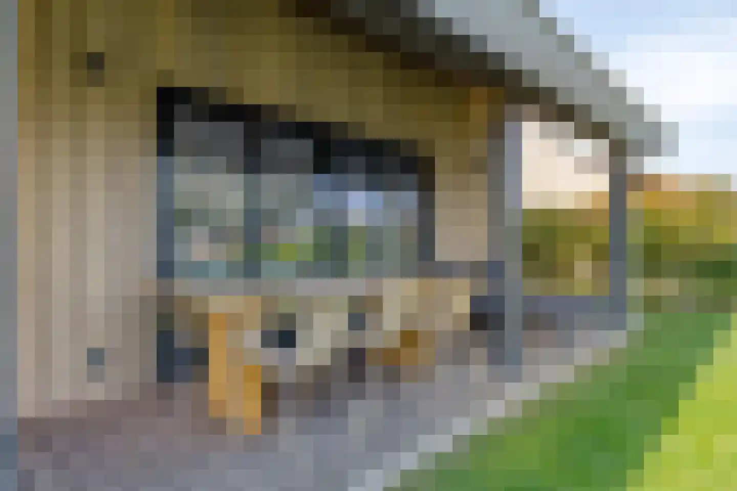 Oesterdam 215 Tholen thumbnail 32