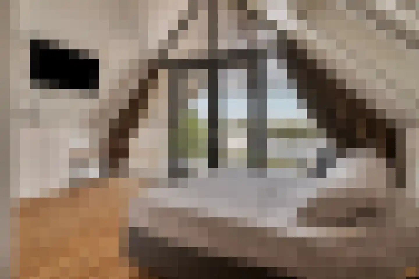 Oesterdam 219 Tholen thumbnail 41