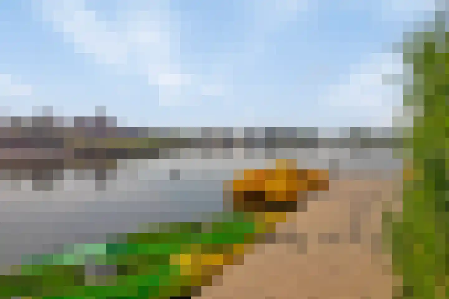 Oesterdam 219 Tholen thumbnail 62