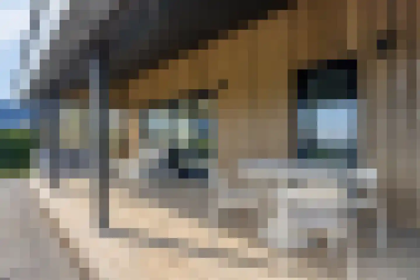 Oesterdam 229 Tholen thumbnail 28