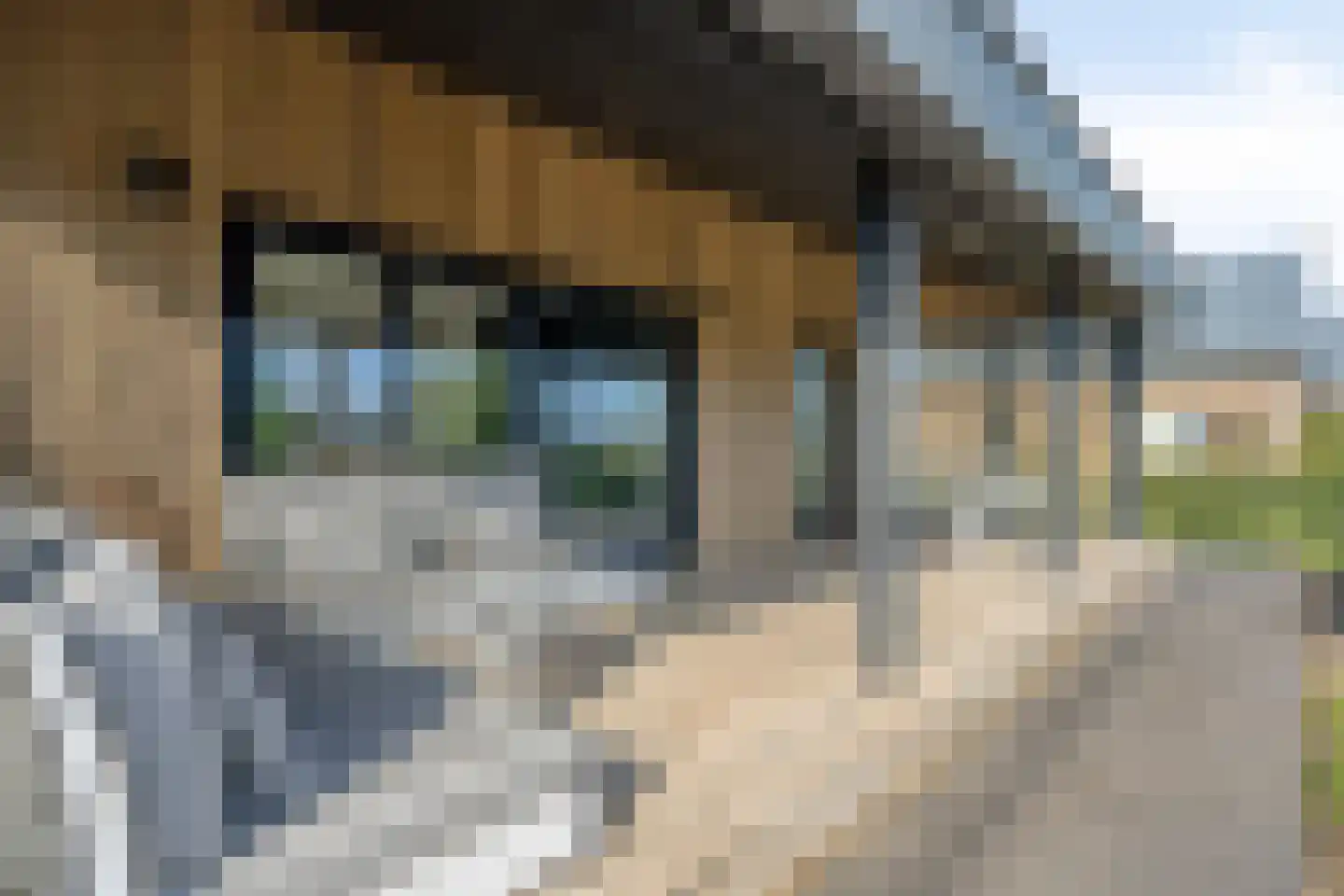 Oesterdam 229 Tholen thumbnail 29