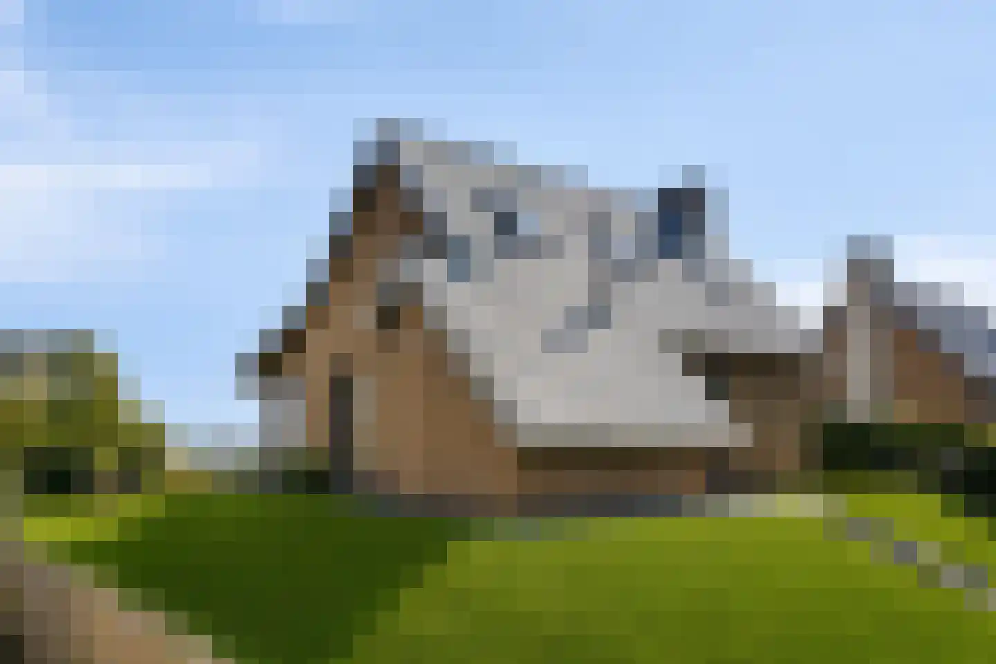 Oesterdam 229 Tholen thumbnail 51