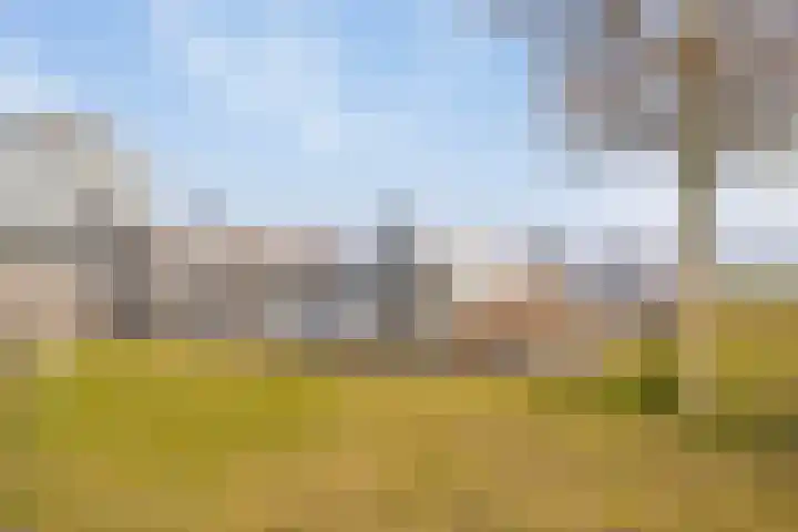Oesterdam 245 Tholen thumbnail 37