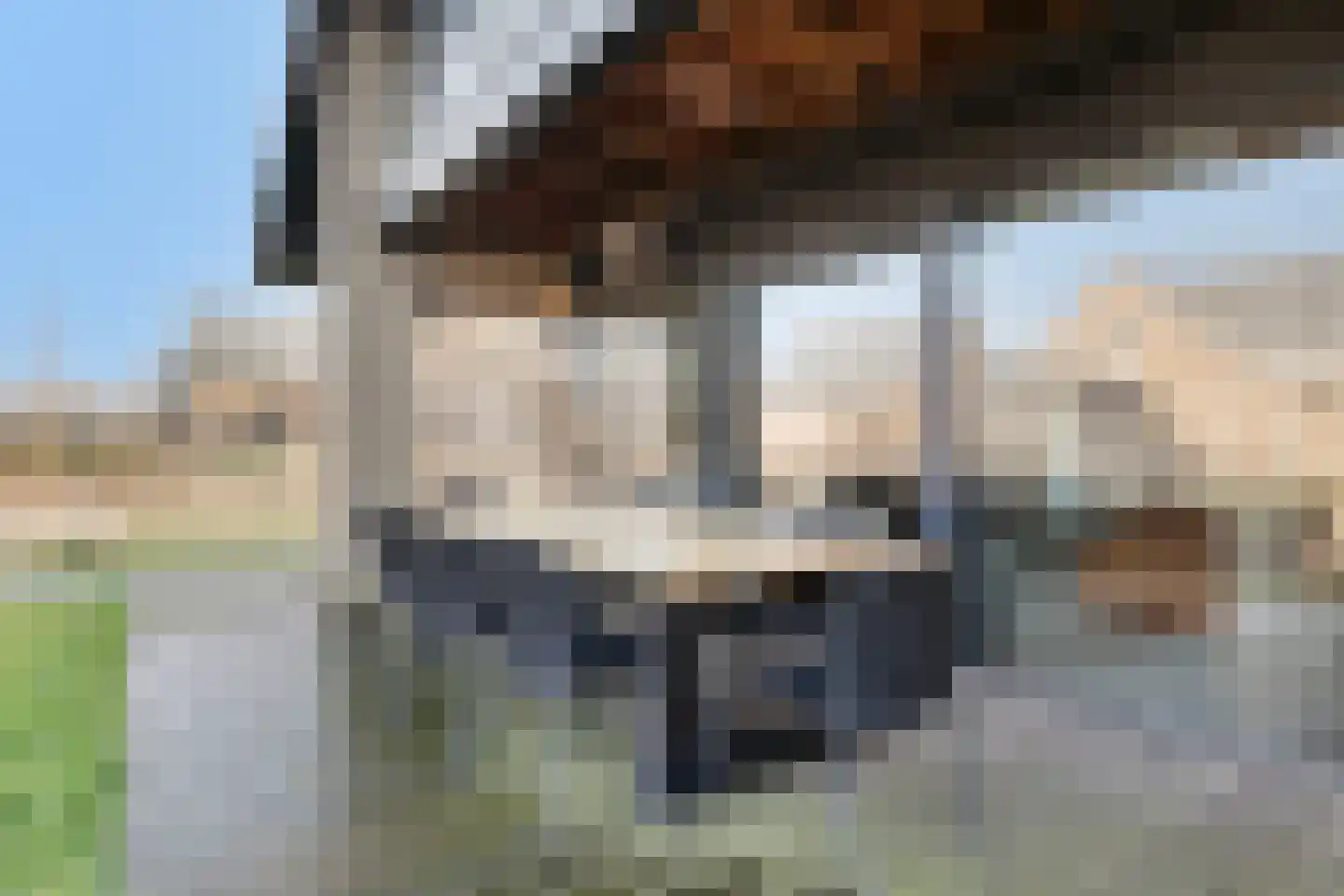 Oesterdam 303 Tholen thumbnail 26
