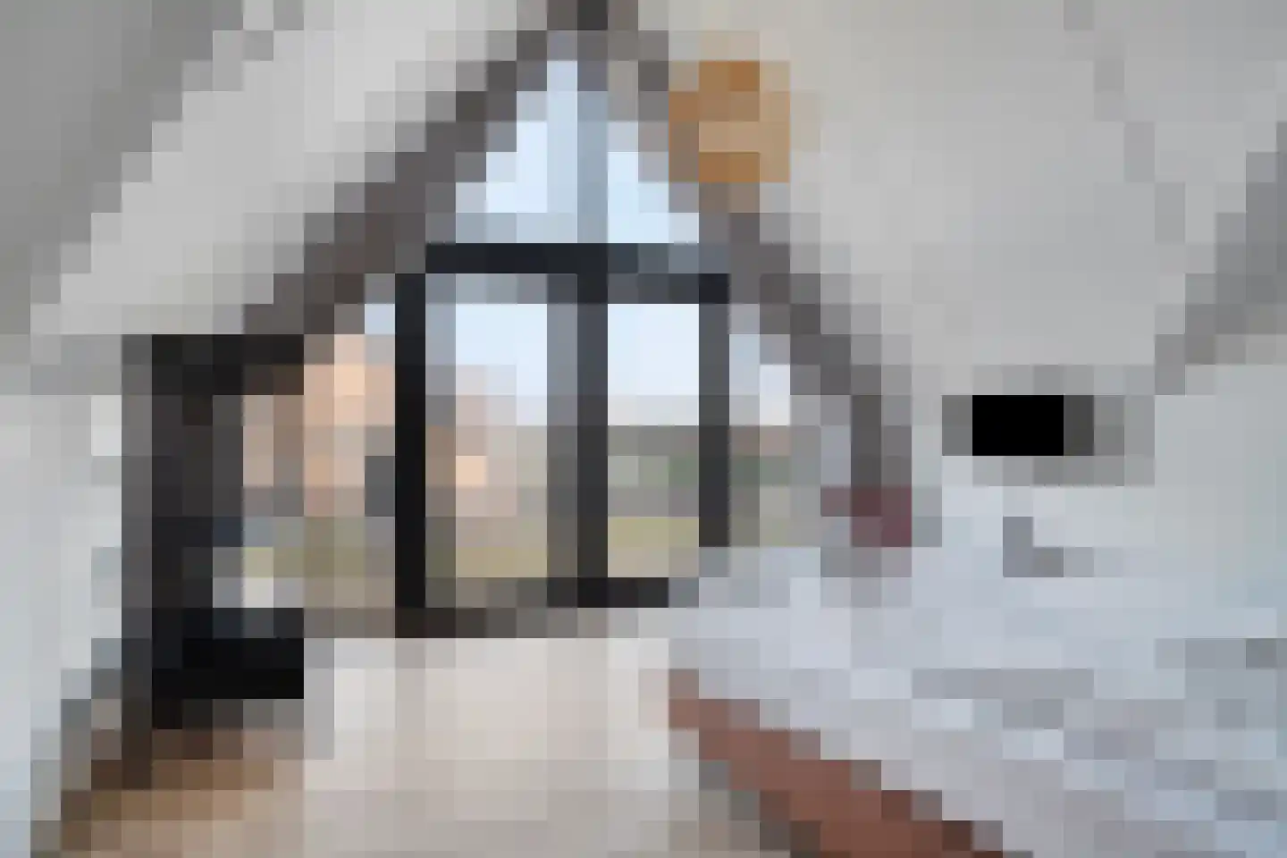 Oesterdam 303 Tholen thumbnail 42