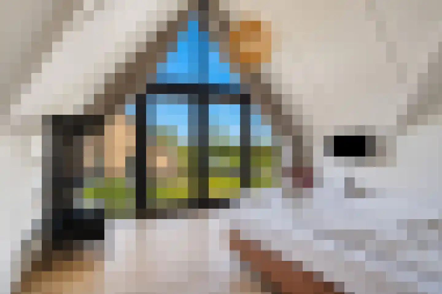 Oesterdam 303 Tholen thumbnail 42