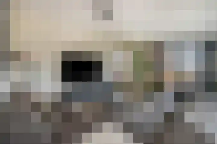 Oesterdam 327 Tholen thumbnail 27