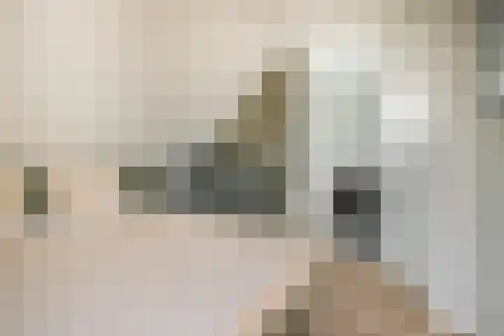 Oesterdam 327 Tholen thumbnail 41