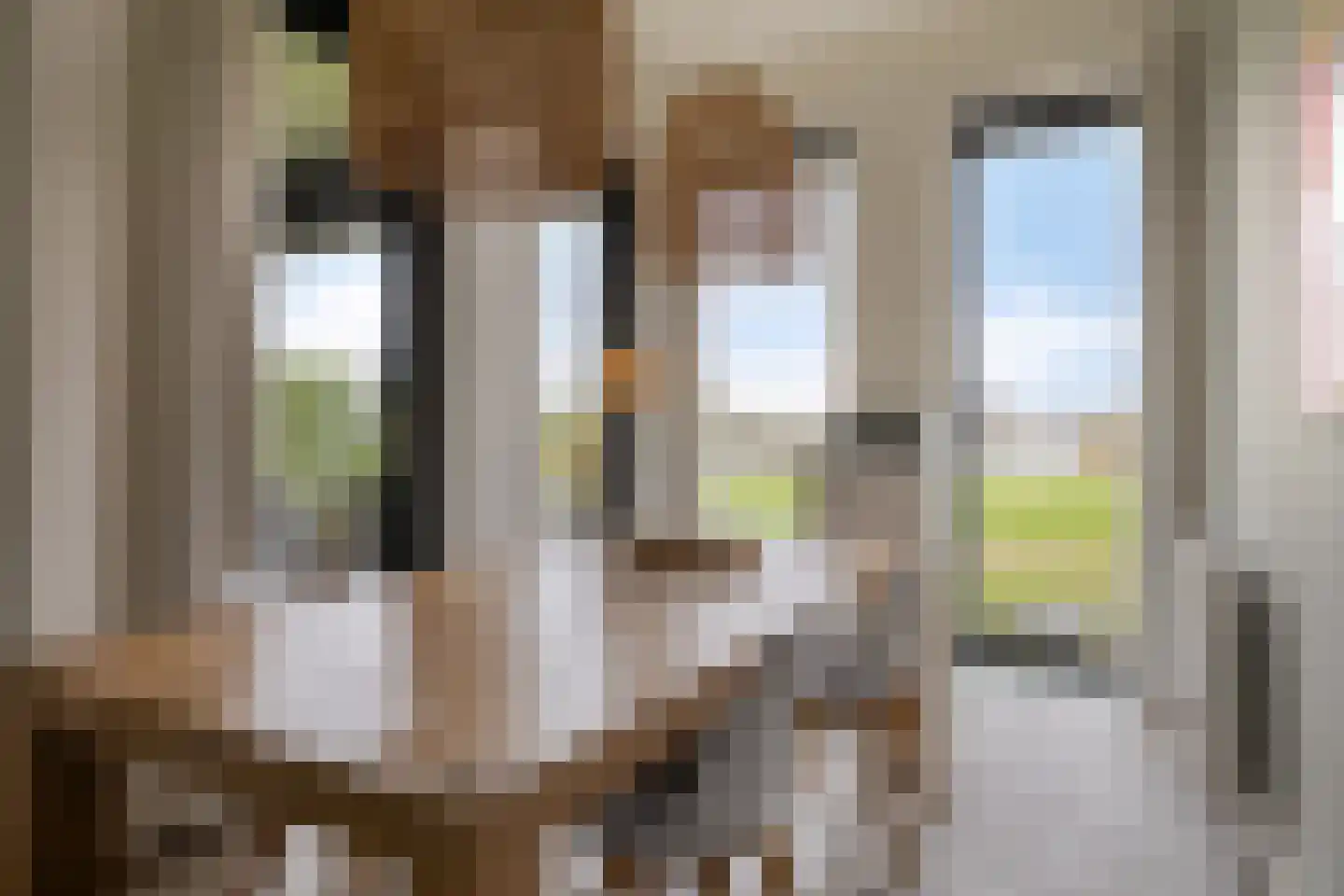 Oesterdam 63 Tholen thumbnail 12