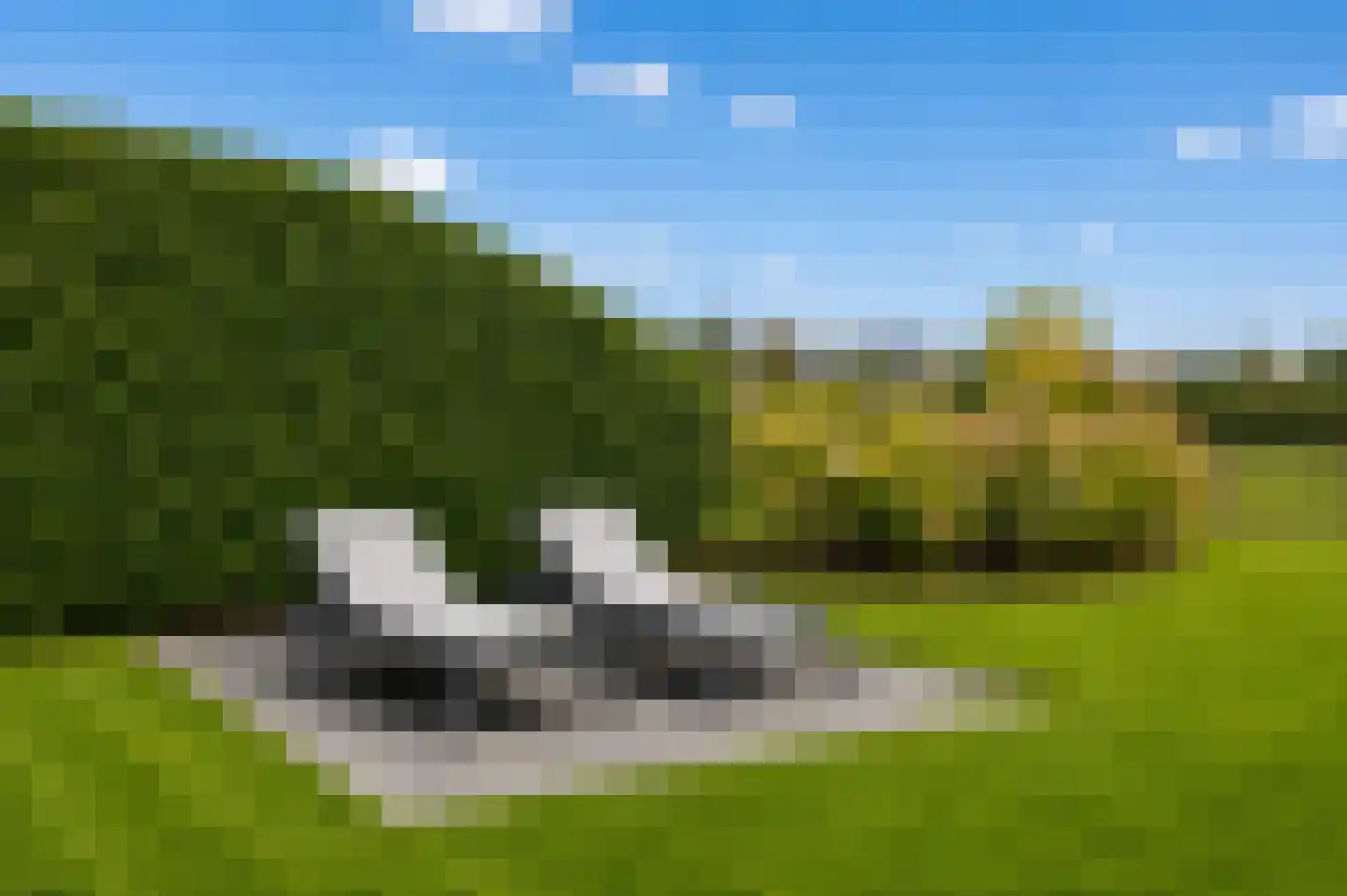 Oesterdam 63 Tholen thumbnail 38