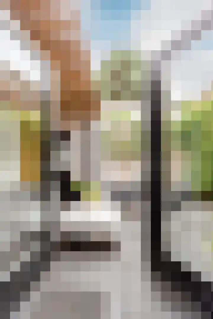 Oesterdam 7 Hoofddorp thumbnail 18