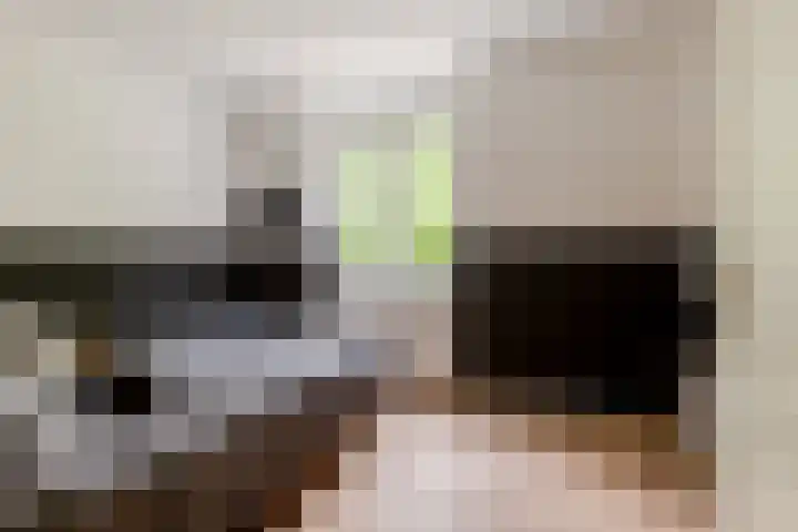 Oesterdam 7 Hoofddorp thumbnail 30