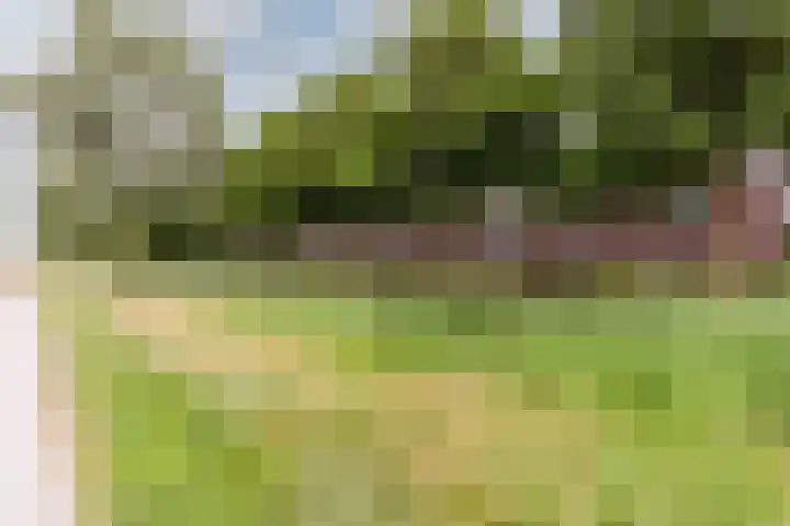 Oesterdam 7 Hoofddorp thumbnail 41