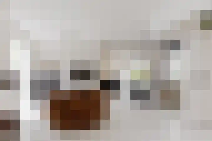 Oesterdam 7 Hoofddorp thumbnail 8