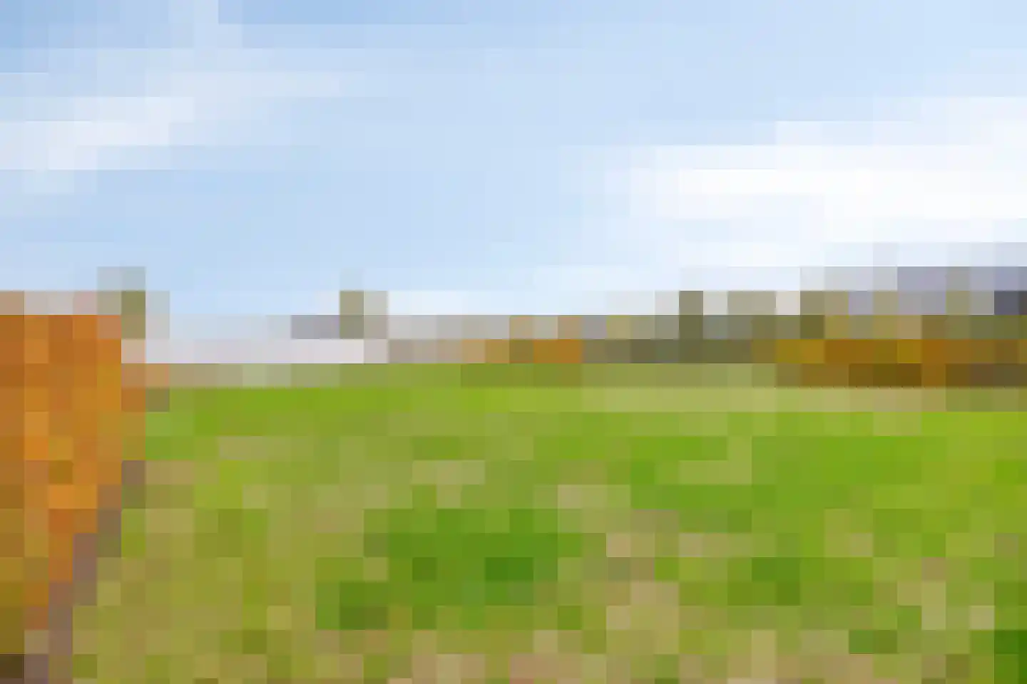 Oesterdam 77 Tholen thumbnail 26