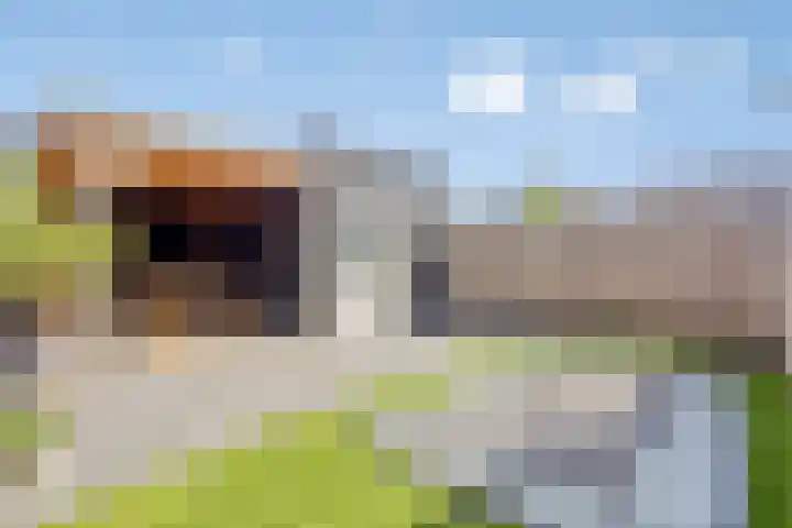 Oesterdam 9 Hoofddorp thumbnail 4