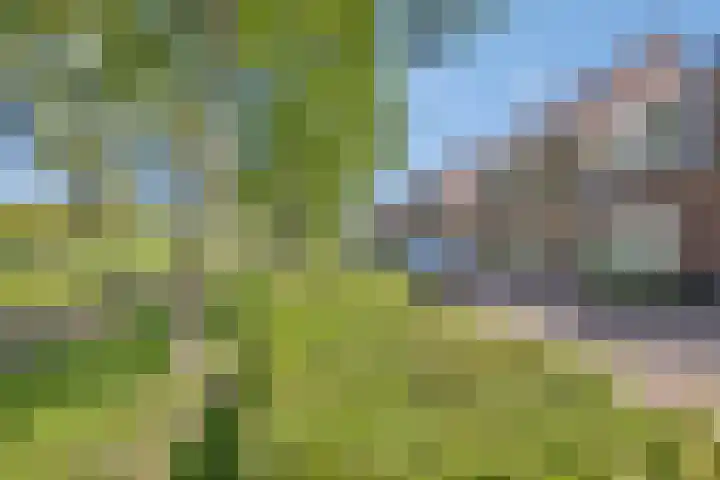 Oesterdam 9 Hoofddorp thumbnail 5