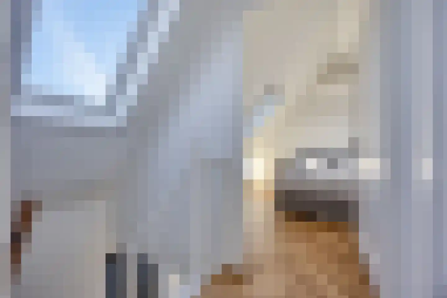 Oesterdam 91 Tholen thumbnail 18